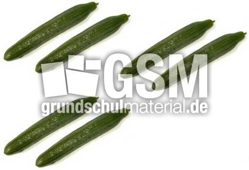 Gurke-3x2.jpg
